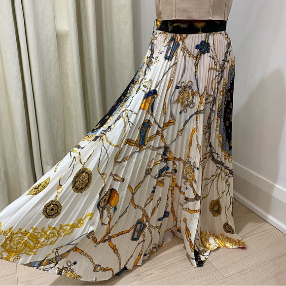 Zara Dresses & Skirts - ZARA MIDI Skirt, Chain Print, Pleated, Blogger Fave, Women's (US S)